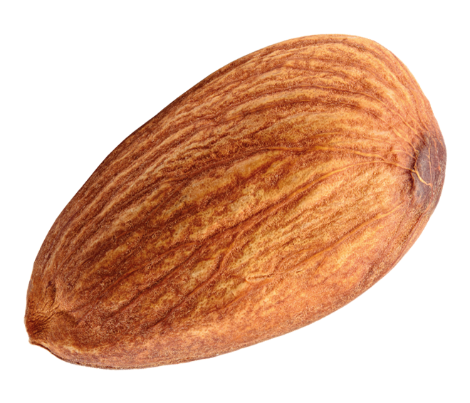 HAKKIMIZDA ikonu