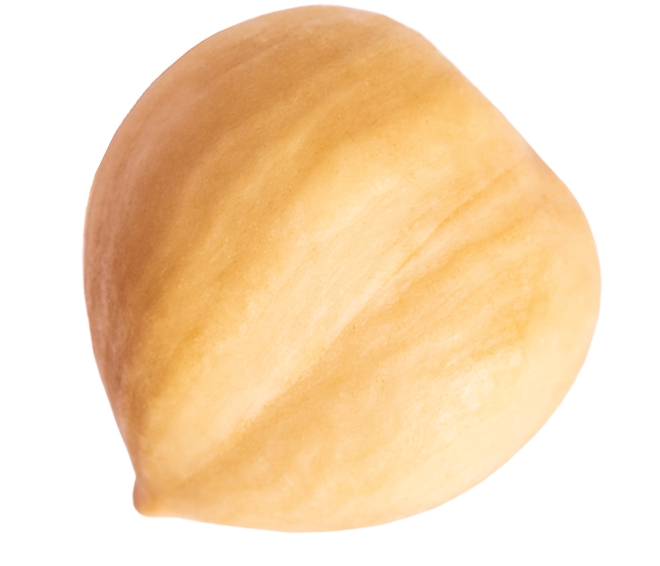 E-KATALOG ikonu