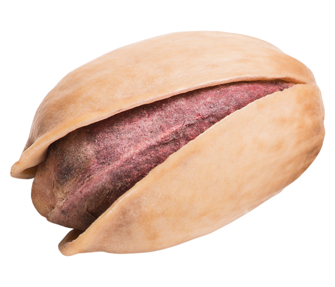 ANASAYFA ikonu